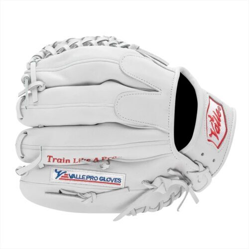 Eagle 1050 Outfiled Training Glove Back Tilted View Eagle 1050 Outfiled Training Glove Back Tilted View