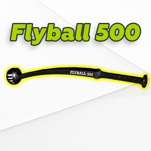 Flyball-alt Flyball-alt